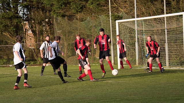 揭示了什么 揭示了什么