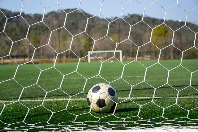 弱海港的组 弱海港的组