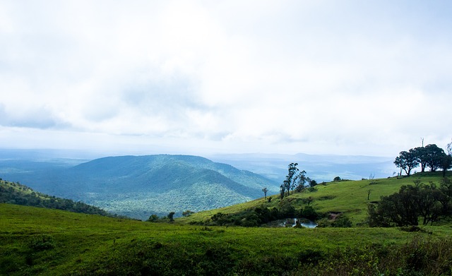 但他们的欧 但他们的欧