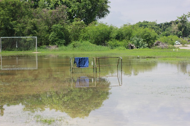 未能加盟 未能加盟