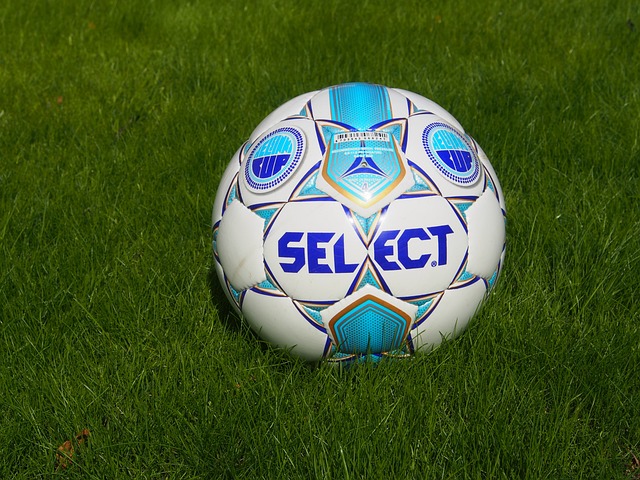 这表明教练 这表明教练