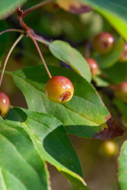 除了在赛场 除了在赛场