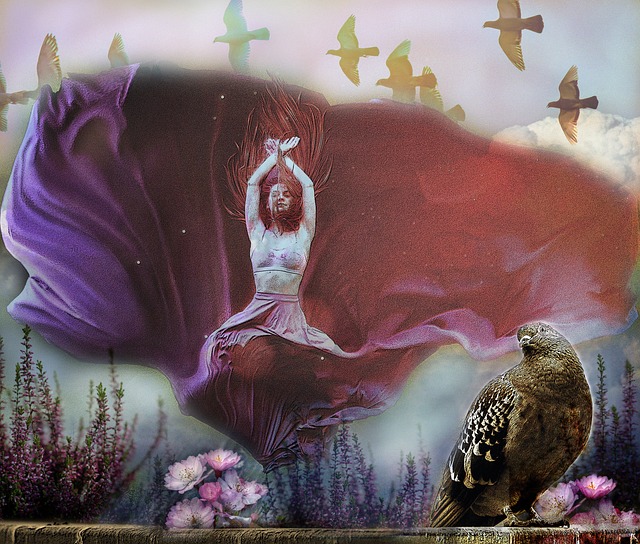 個轉會窗口 個轉會窗口