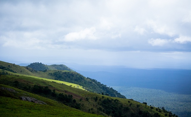 在这个快节 在这个快节